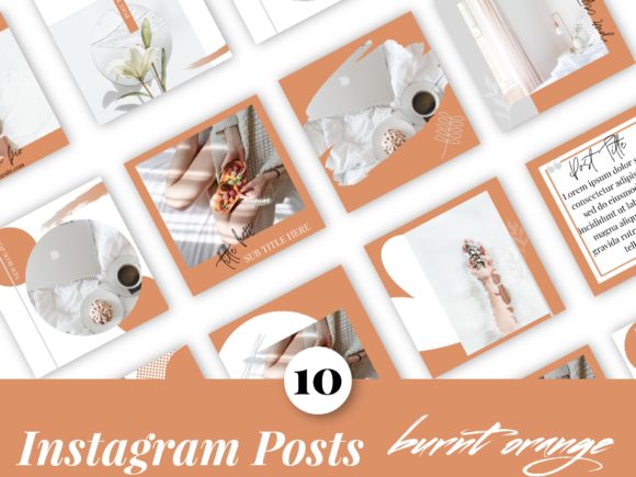 Stop Staring at a Blank Canvas: Master Instagram with Canva Templates
